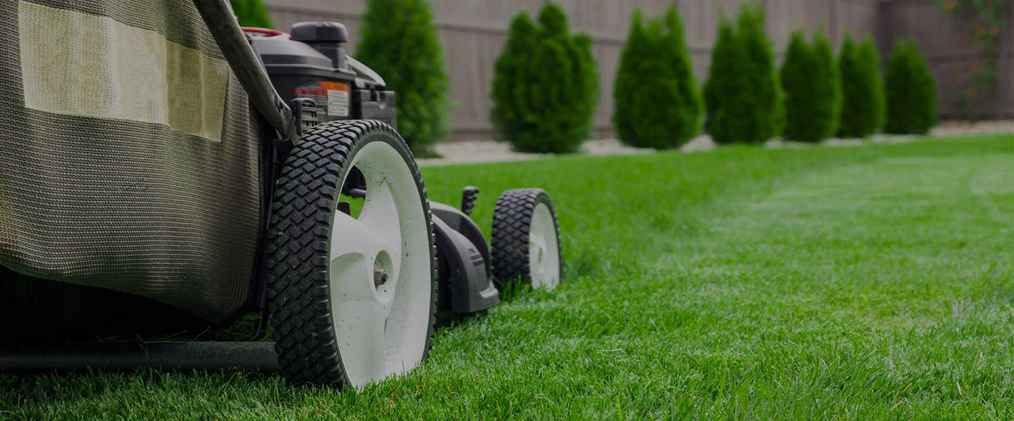 Keep Your Lawn Looking Great at All Times